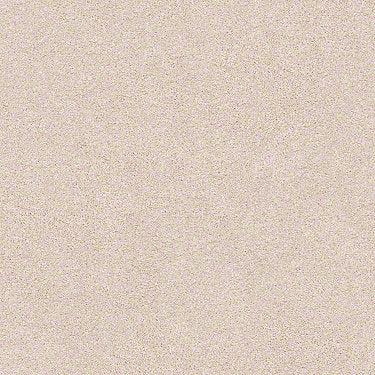 Find Your Comfort Ns I Residential Carpet