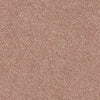 Find Your Comfort Ns I Residential Carpet