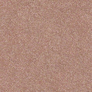 Find Your Comfort Ns I Residential Carpet