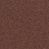 Find Your Comfort Ns I Residential Carpet