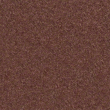 Find Your Comfort Ns I Residential Carpet