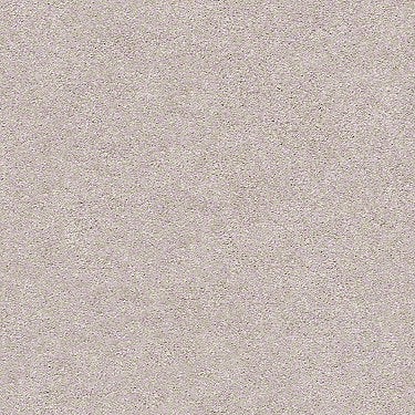 Find Your Comfort Ns I Residential Carpet