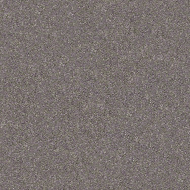 Find Your Comfort Ns I Residential Carpet