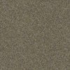 Find Your Comfort Ns II Residential Carpet