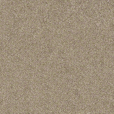 Find Your Comfort Ns II Residential Carpet