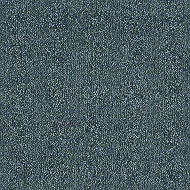 Find Your Comfort Ns Blue Residential Carpet