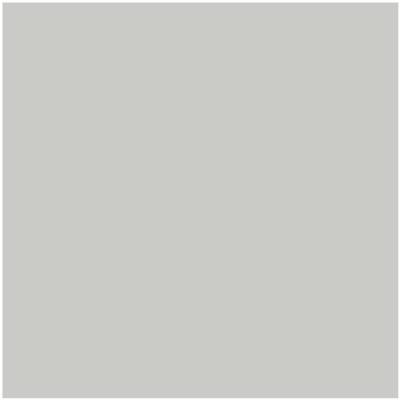 Benjamin Moore's Paint Color HC-170 Stonington Gray available at Standard Paint & Flooring