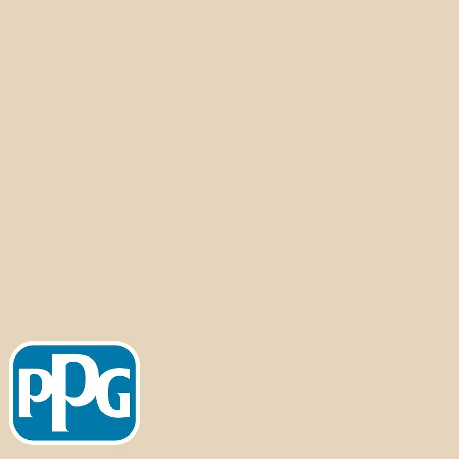 PPG14-19 Alpaca Woolpaint color chip from PPG Paint's Voice of Color pallette.