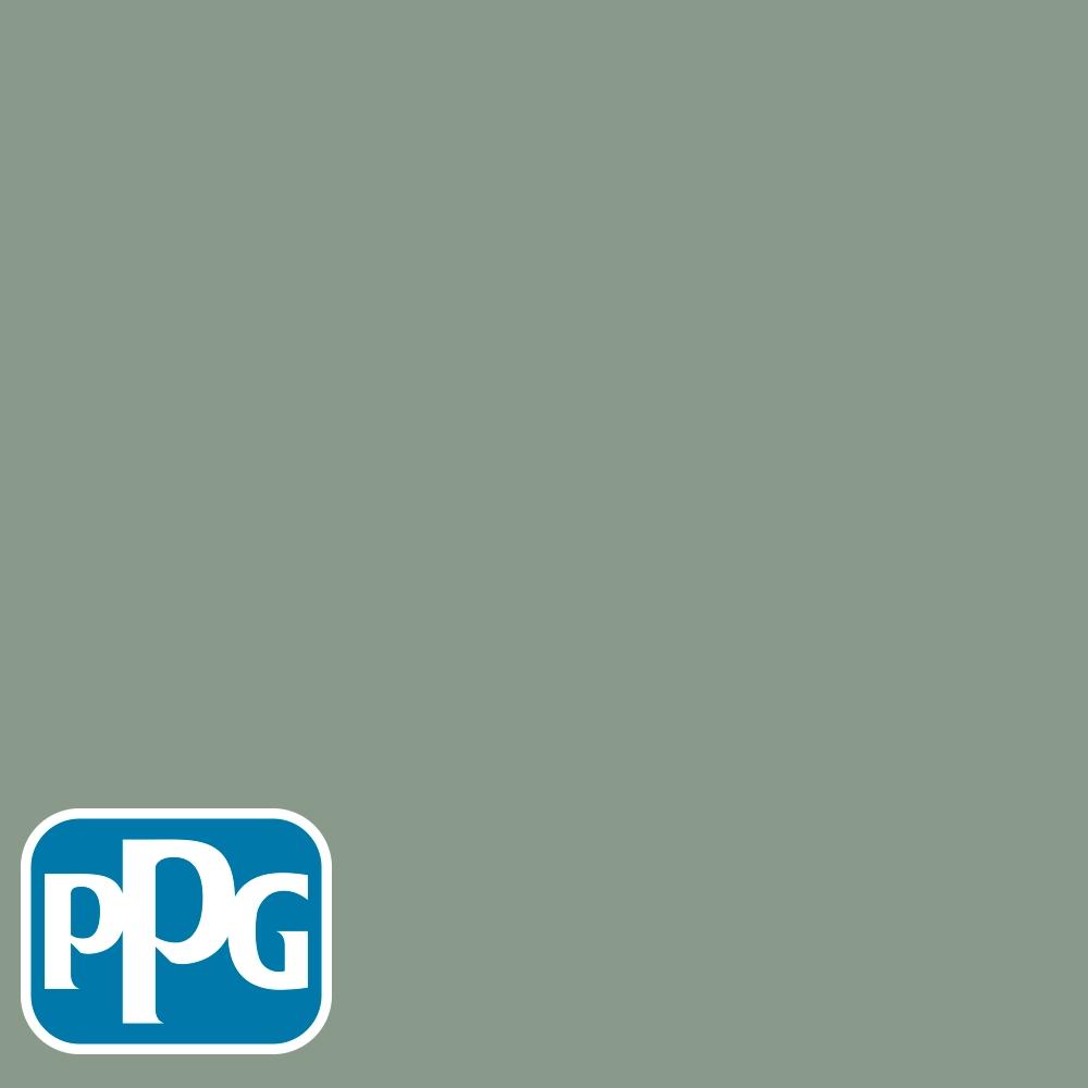 PPG1134-5 Birch Forestpaint color chip from PPG Paint's Voice of Color pallette.