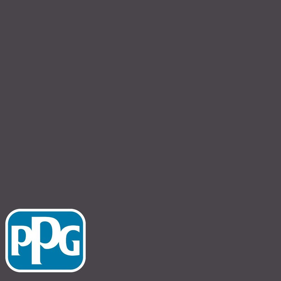 PPG1003-7 Blackhearthpaint color chip from PPG Paint's Voice of Color pallette.