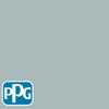 PPG1145-4 Blue Willowpaint color chip from PPG Paint's Voice of Color pallette.