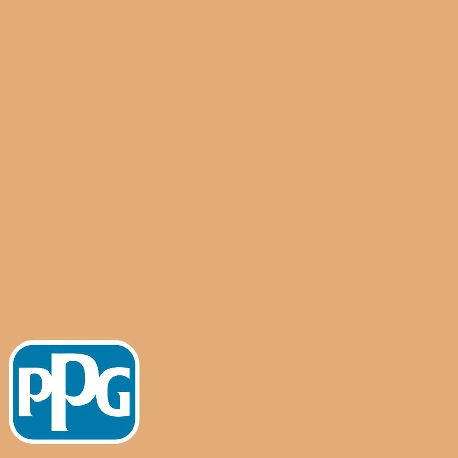 PPG1202-5 Buffalo Trailpaint color chip from PPG Paint's Voice of Color pallette.
