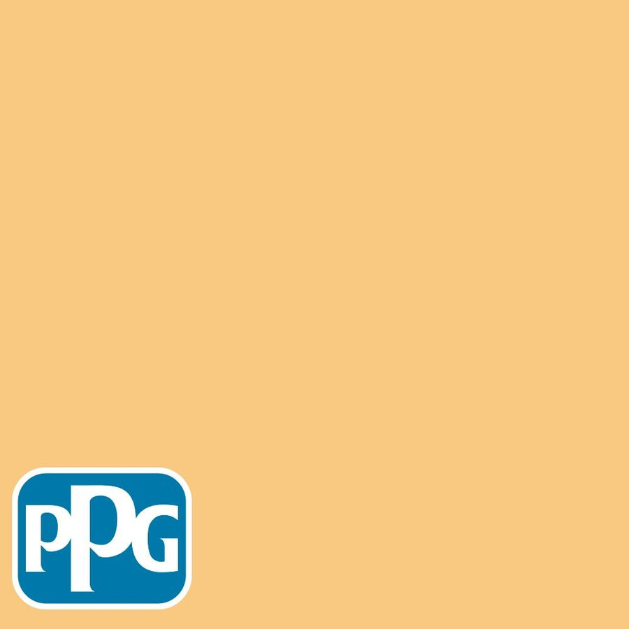 PPG1204-5 Chunk Of Cheddarpaint color chip from PPG Paint's Voice of Color pallette.