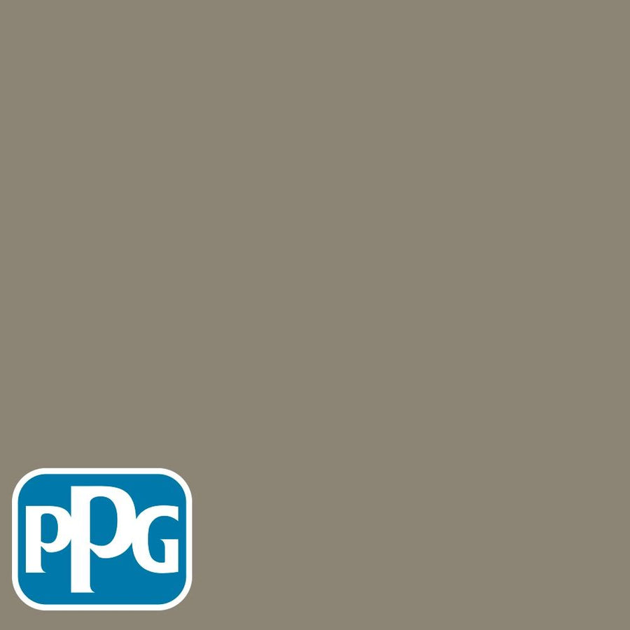 PPG1025-5 Dark Ashpaint color chip from PPG Paint's Voice of Color pallette.