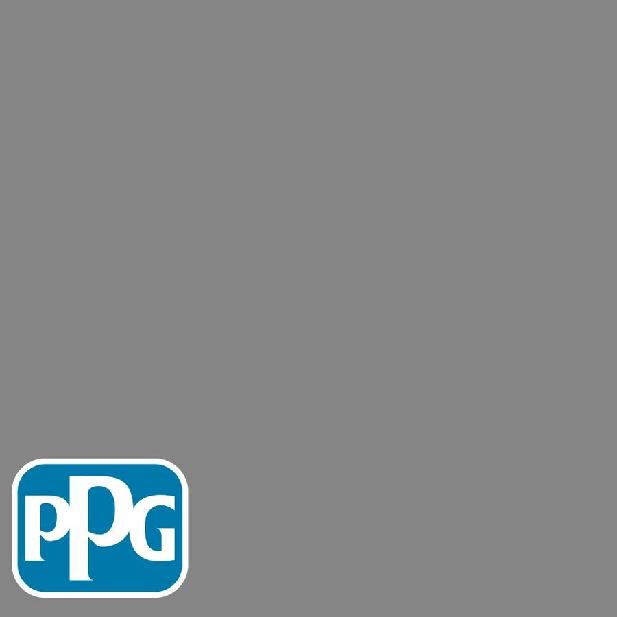 PPG1001-5 Dover Graypaint color chip from PPG Paint's Voice of Color pallette.