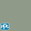 PPG1129-5 Farm Freshpaint color chip from PPG Paint's Voice of Color pallette.