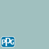 PPG1146-4 Frosty Gladepaint color chip from PPG Paint's Voice of Color pallette.