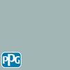 PPG1144-4 Holly Glenpaint color chip from PPG Paint's Voice of Color pallette.