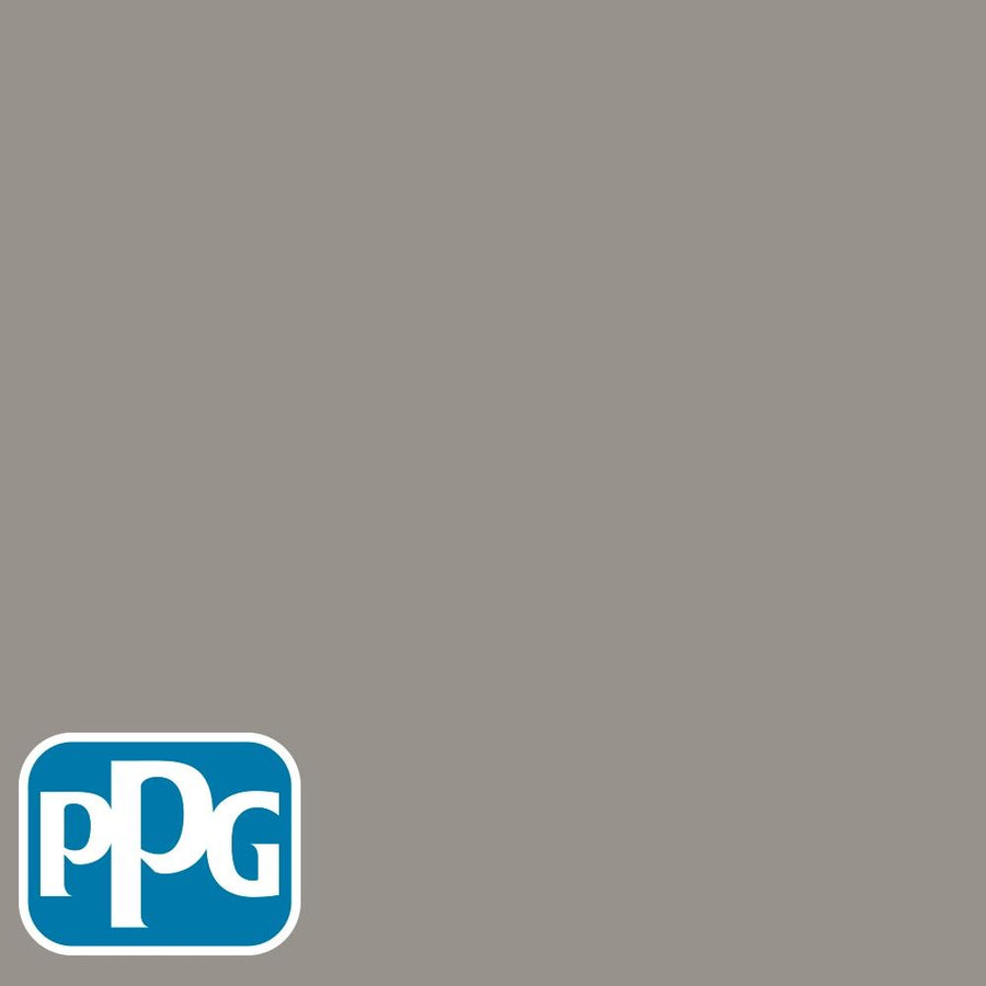 PPG1007-5 Lazy Afternoonpaint color chip from PPG Paint's Voice of Color pallette.
