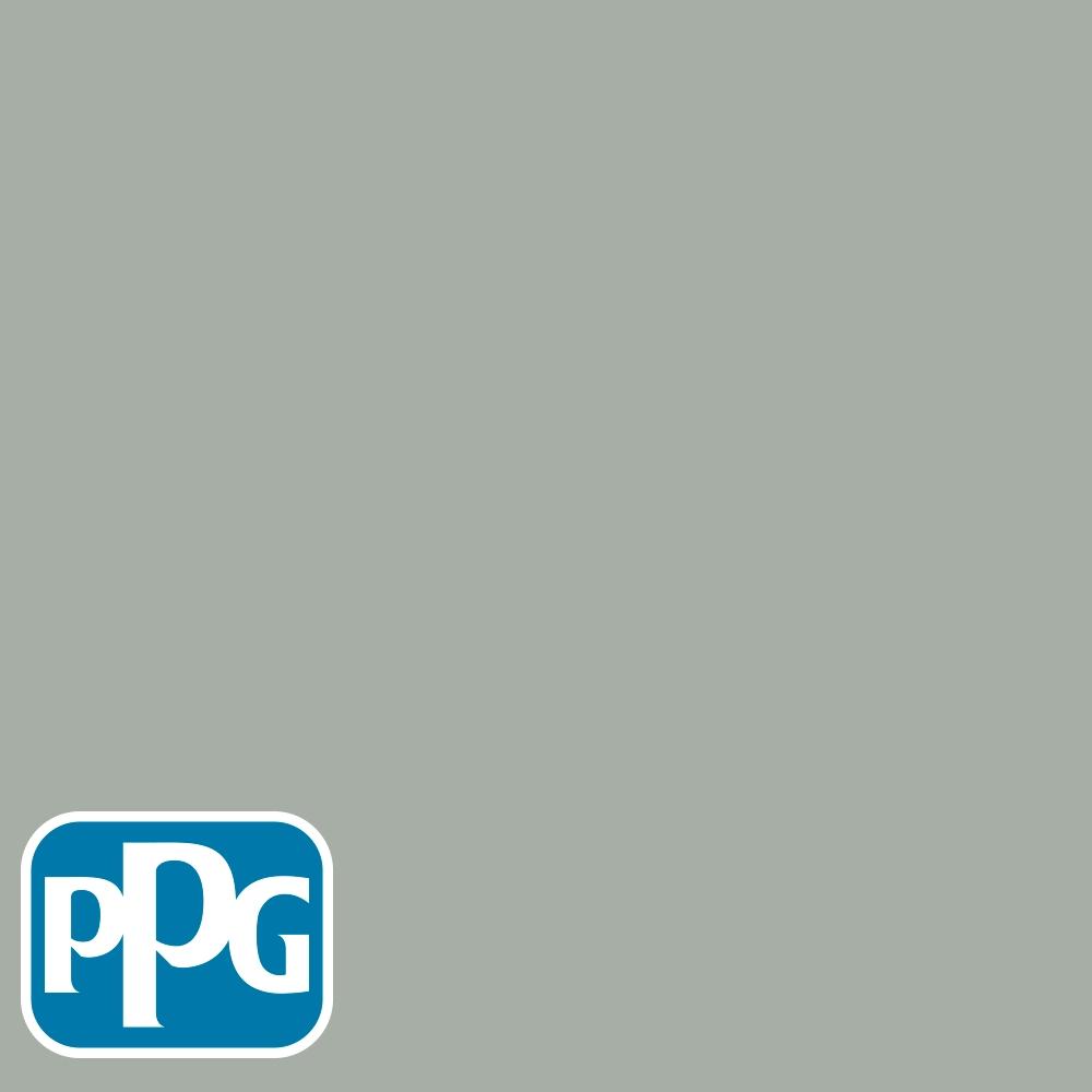 PPG1033-4 Light Drizzlepaint color chip from PPG Paint's Voice of Color pallette.