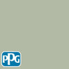 PPG1124-4 Light Sagepaint color chip from PPG Paint's Voice of Color pallette.