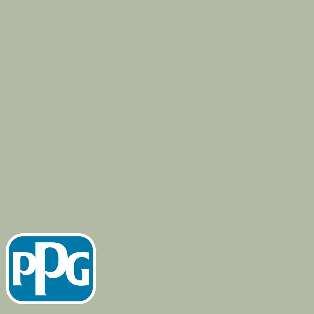 PPG1124-4 Light Sagepaint color chip from PPG Paint's Voice of Color pallette.