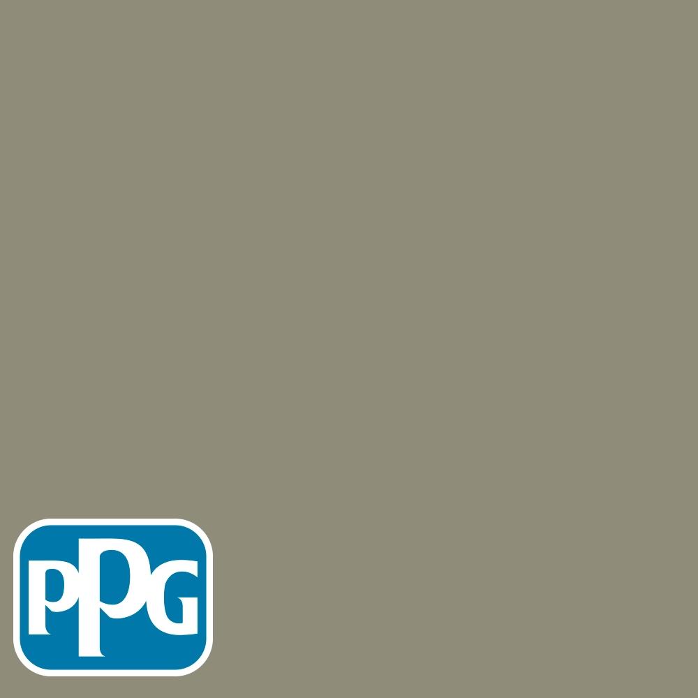 PPG1029-5 Meanderpaint color chip from PPG Paint's Voice of Color pallette.