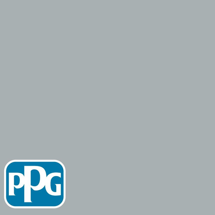 PPG1039-3 Mirror Mirrorpaint color chip from PPG Paint's Voice of Color pallette.