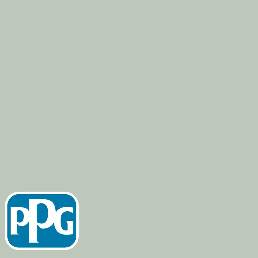 PPG10-30 Niagara Mistpaint color chip from PPG Paint's Voice of Color pallette.