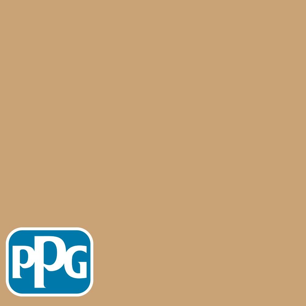 PPG1088-5 Outbackpaint color chip from PPG Paint's Voice of Color pallette.