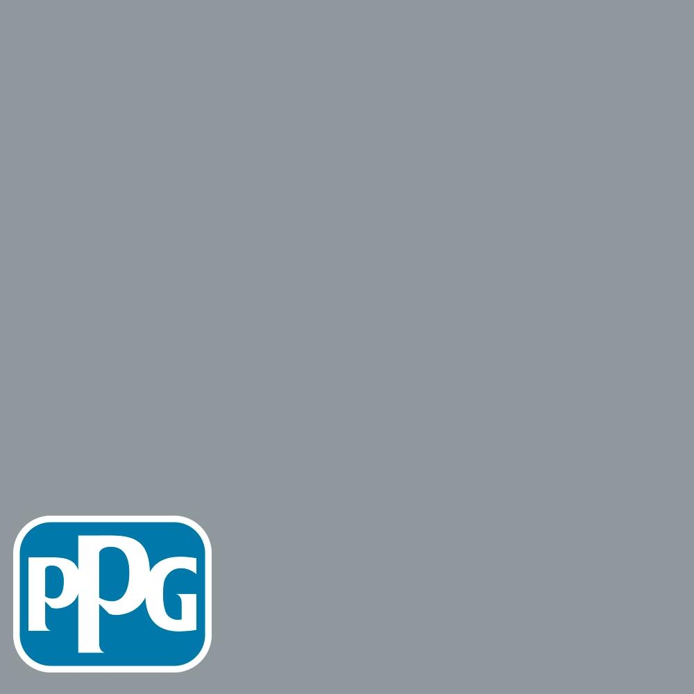PPG1039-4 Pachydermpaint color chip from PPG Paint's Voice of Color pallette.