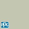 PPG1030-2 Pale Pinepaint color chip from PPG Paint's Voice of Color pallette.