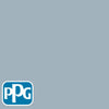 PPG10-28 Peacepaint color chip from PPG Paint's Voice of Color pallette.