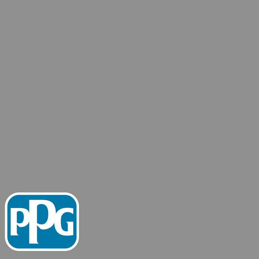 PPG1009-5 Phoenix Fossilpaint color chip from PPG Paint's Voice of Color pallette.