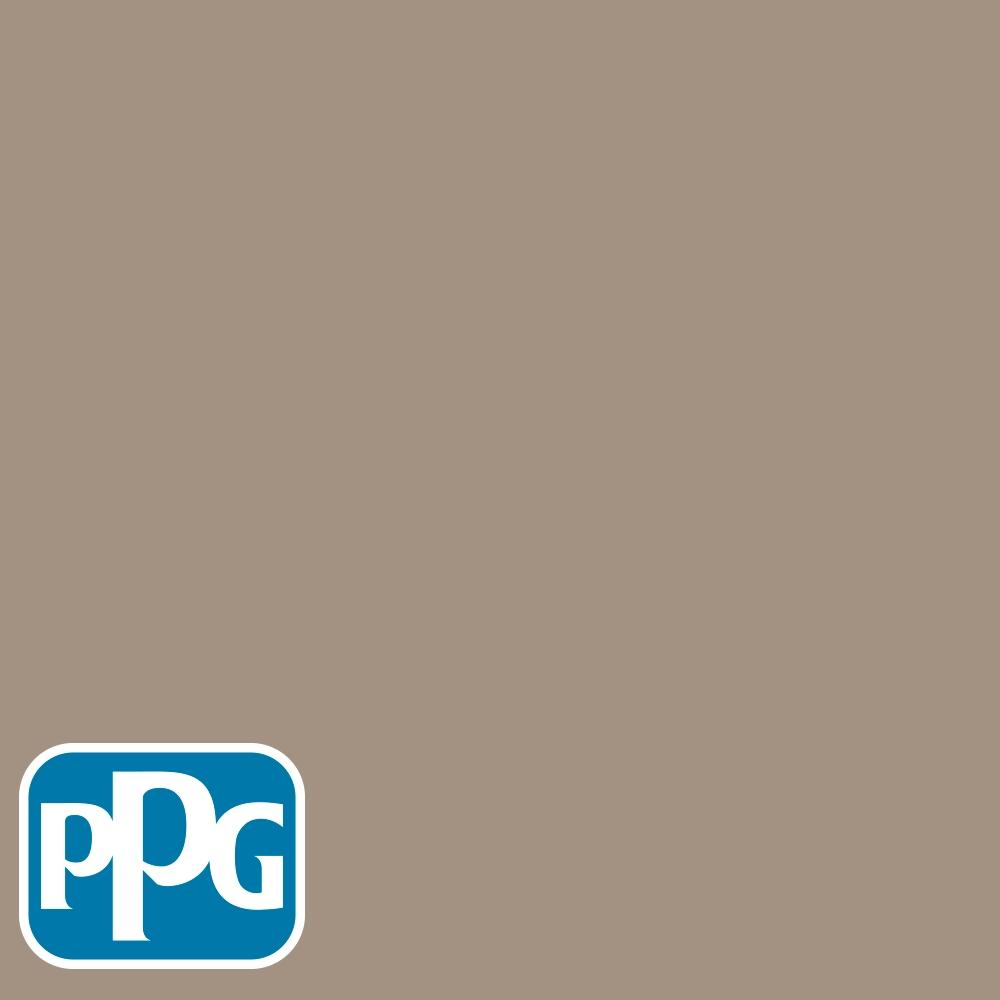 PPG15-19 Rapid Rockpaint color chip from PPG Paint's Voice of Color pallette.