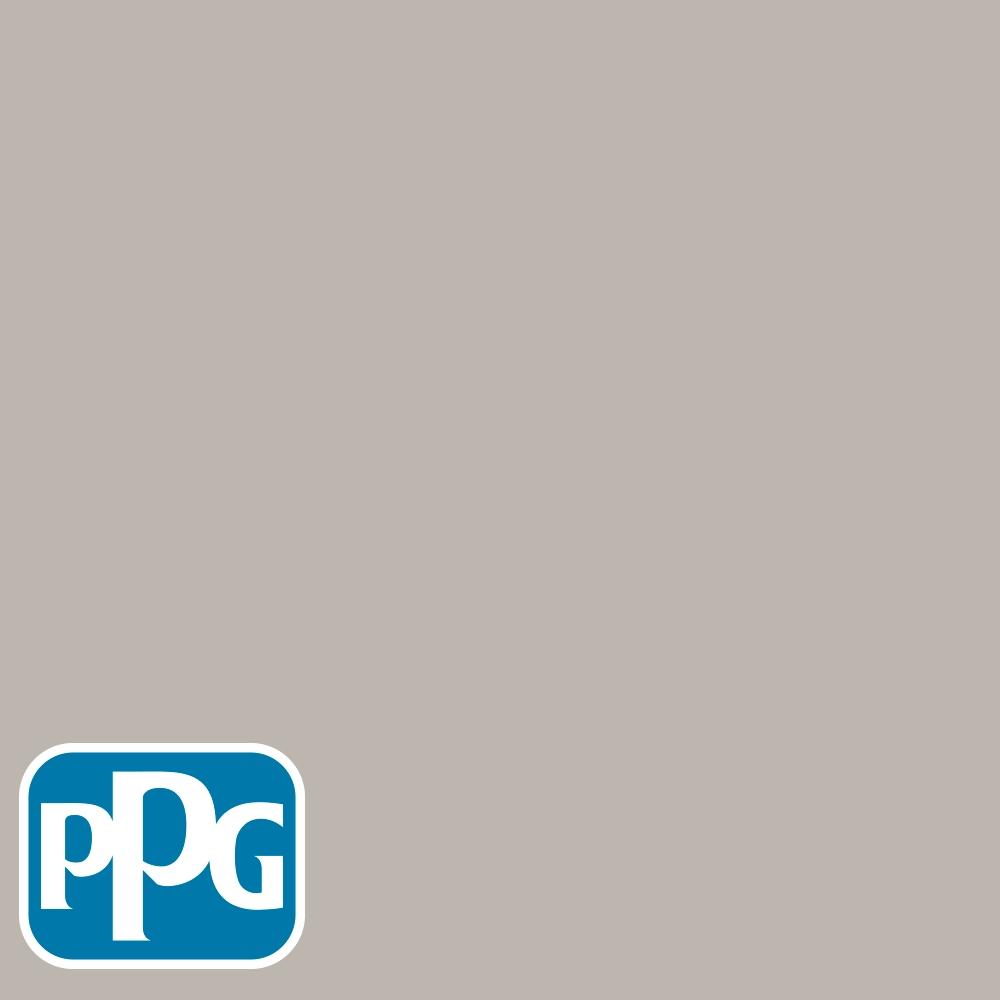 PPG1022-3 Silver Dollarpaint color chip from PPG Paint's Voice of Color pallette.