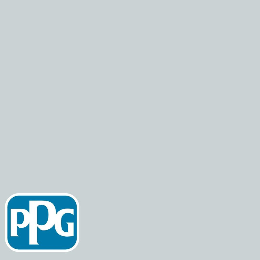 PPG1037-2 Sky Splashpaint color chip from PPG Paint's Voice of Color pallette.
