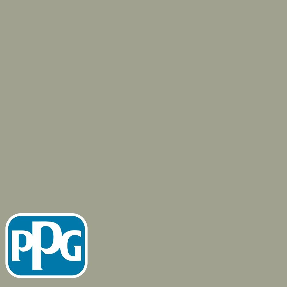 PPG1028-4 Smoky Slatepaint color chip from PPG Paint's Voice of Color pallette.
