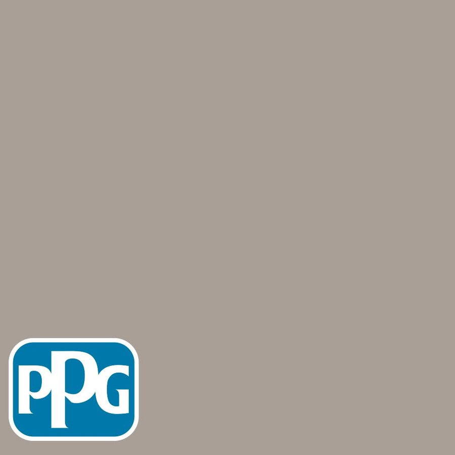PPG1018-4 Winter'S Nappaint color chip from PPG Paint's Voice of Color pallette.