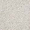 Great Approach (S) Residential Carpet