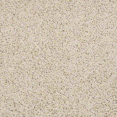 Great Approach (S) Residential Carpet