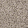 Great Approach (S) Residential Carpet