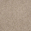 Great Approach (S) Residential Carpet