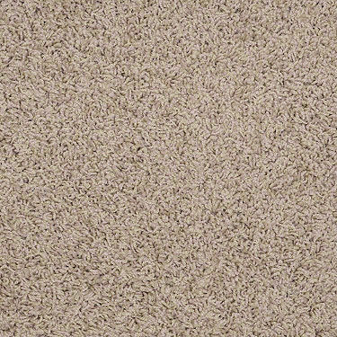 Great Approach (S) Residential Carpet