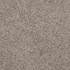 Great Approach (S) Residential Carpet