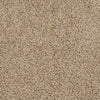 Great Approach (S) Residential Carpet