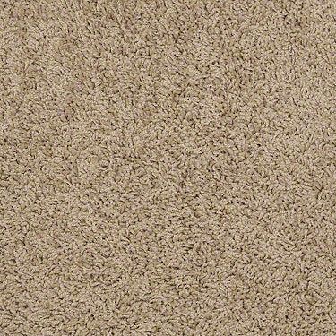 Great Approach (S) Residential Carpet