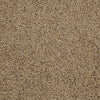 Great Approach (S) Residential Carpet