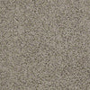 Great Approach (S) Residential Carpet