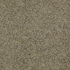 Great Approach (S) Residential Carpet